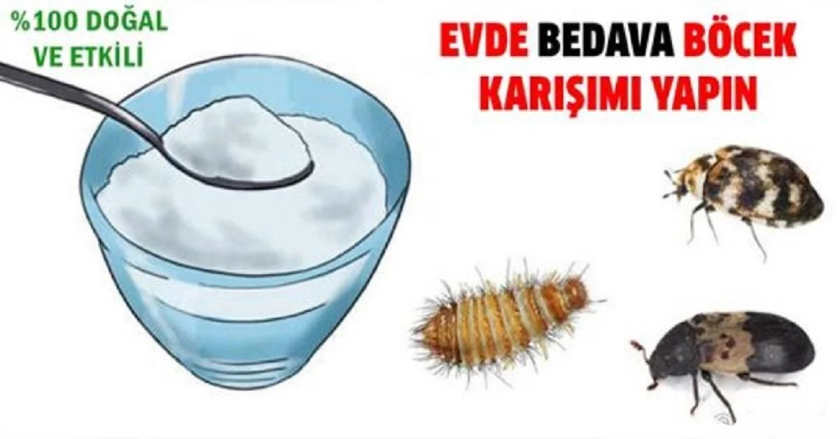 Böceklerden Kurtaran Doğal Karışım