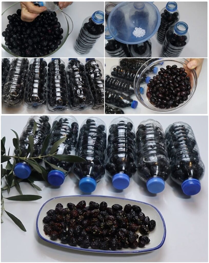 Tekme Tokat Porsiyonluk Siyah Zeytin Yapımı